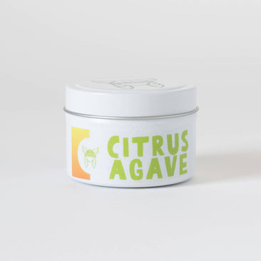 Citrus Agave Candle | Summer Collection