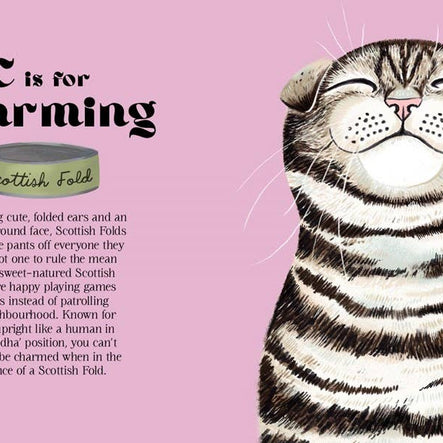 Catphabet : A Cat Alphabet