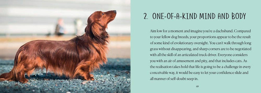 Be More Sausage : Matt Whyman