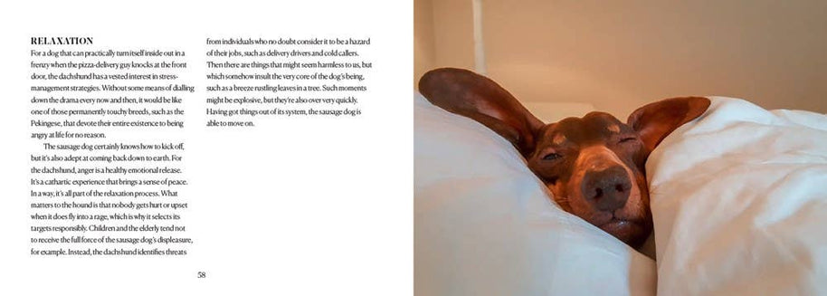 Be More Sausage : Matt Whyman