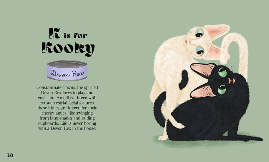 Catphabet : A Cat Alphabet