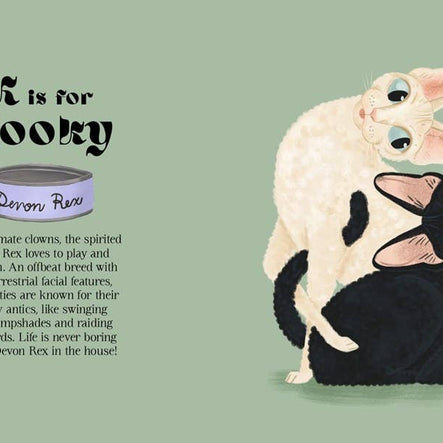 Catphabet : A Cat Alphabet