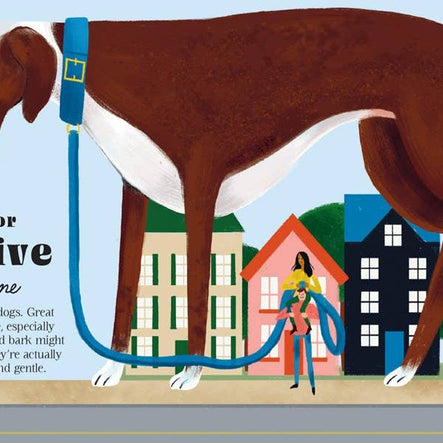 Dogphabet: A whimsical celebration of our favorite canines