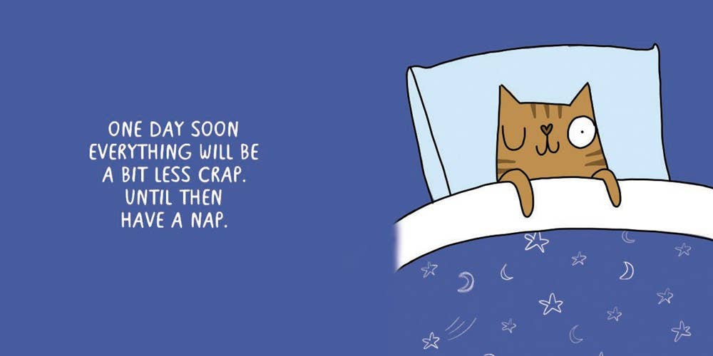 Cattitude: Katie Abey