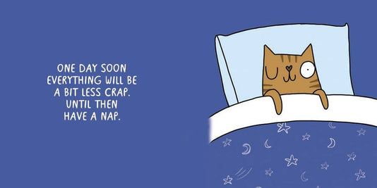 Cattitude: Katie Abey