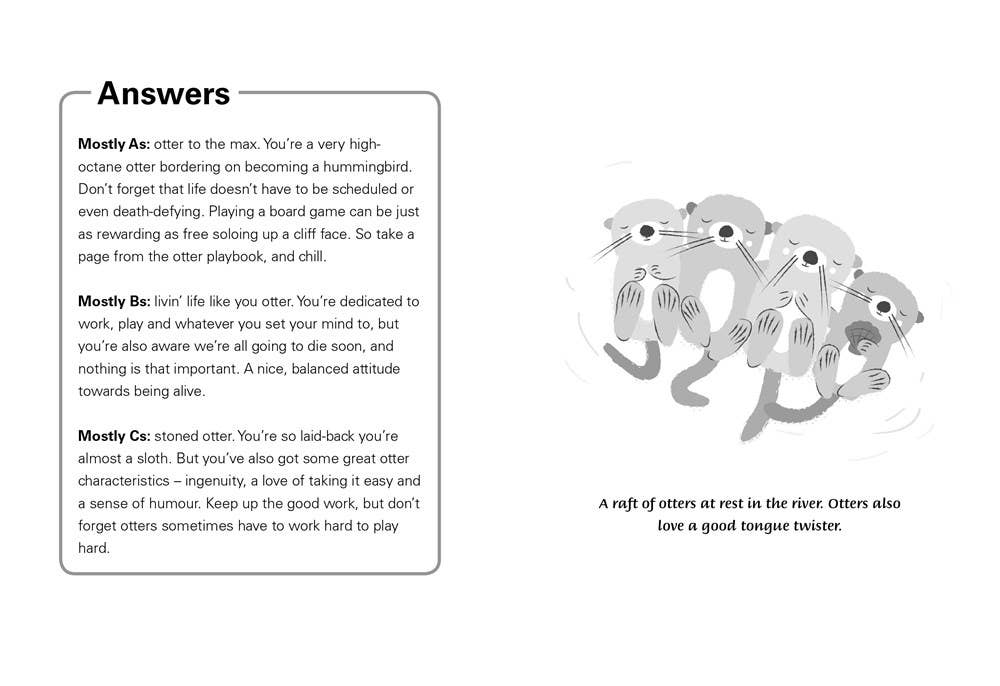 Little Book of Otter Philosophy, The: Jennifer McCartney