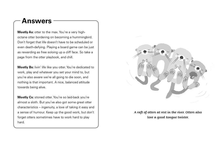 Little Book of Otter Philosophy, The: Jennifer McCartney