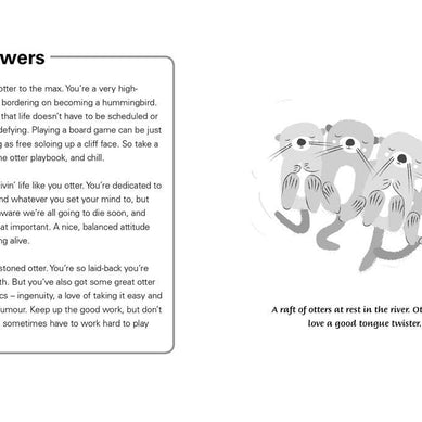 Little Book of Otter Philosophy, The: Jennifer McCartney