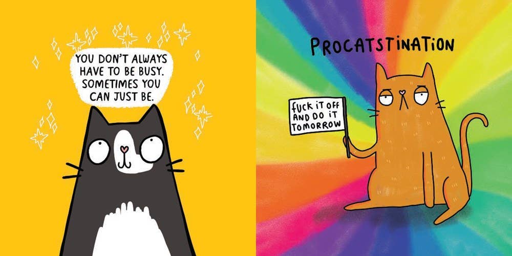 Cattitude: Katie Abey